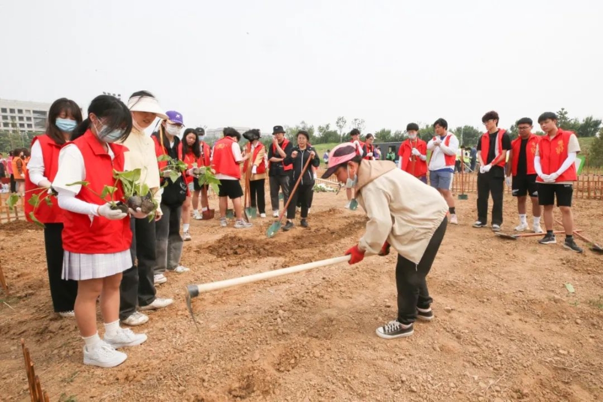 尊龙凯时(中国)人生就是搏!