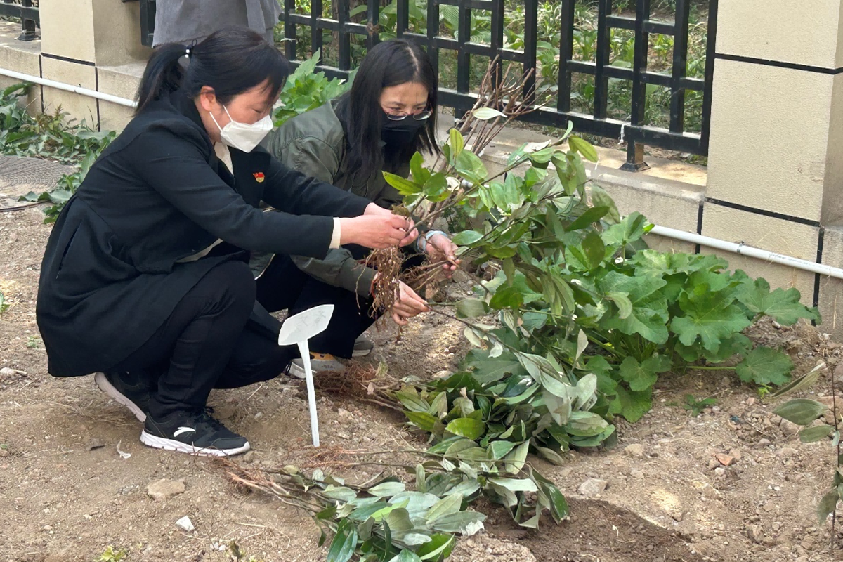 尊龙凯时(中国)人生就是搏!