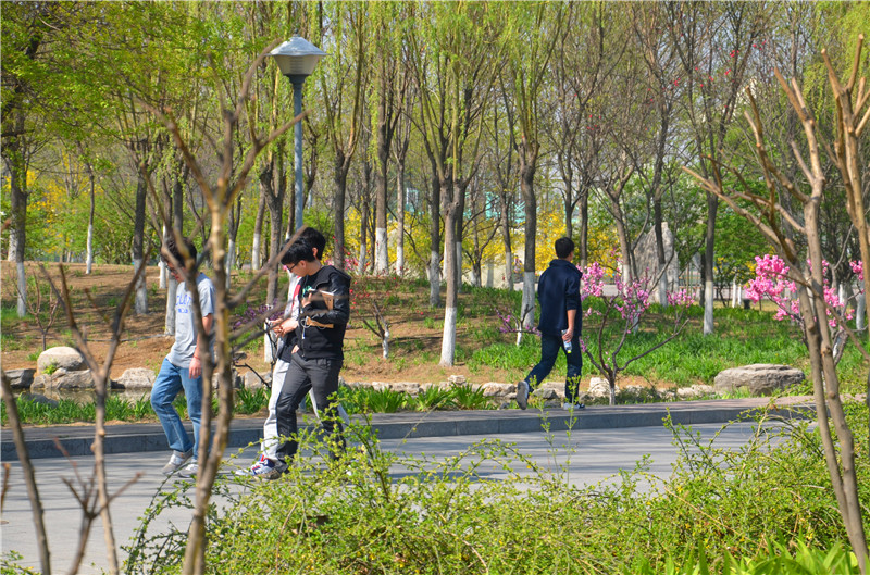 尊龙凯时(中国)人生就是搏!